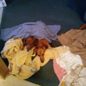 Meet your Posher, Deanna